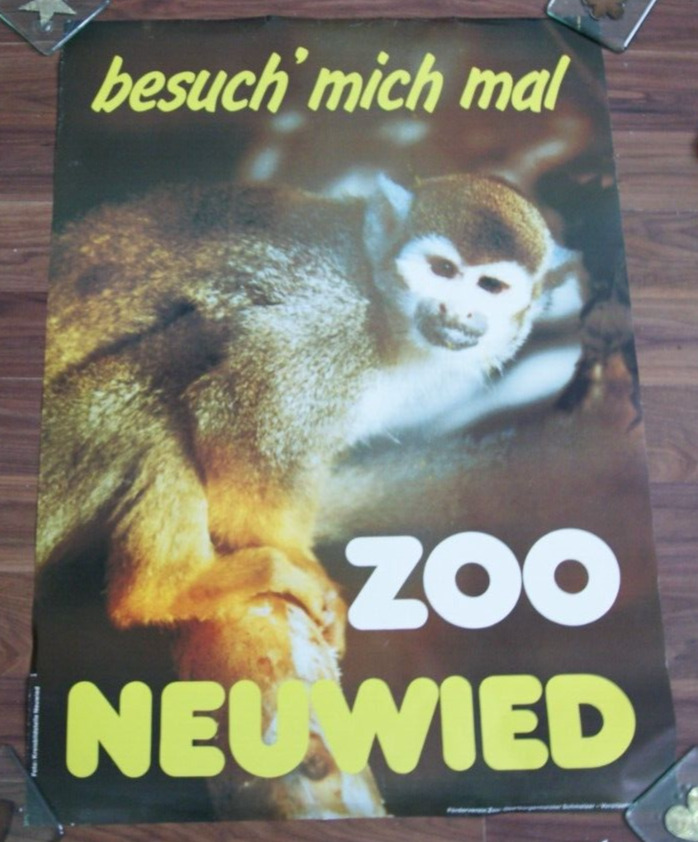 Vintage 1970's NEUWIED ZOO POSTER Germany Rhineland-Palatinate Rhine Monkey RARE