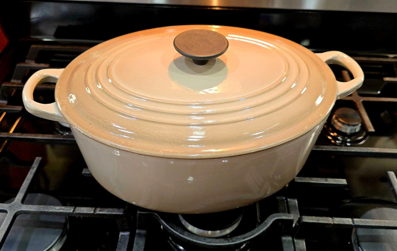 Vintage Le Creuset Oval Dutch Oven 5 Qt #29 RARE COLOR: Nutmeg. Cast Iron Enamel