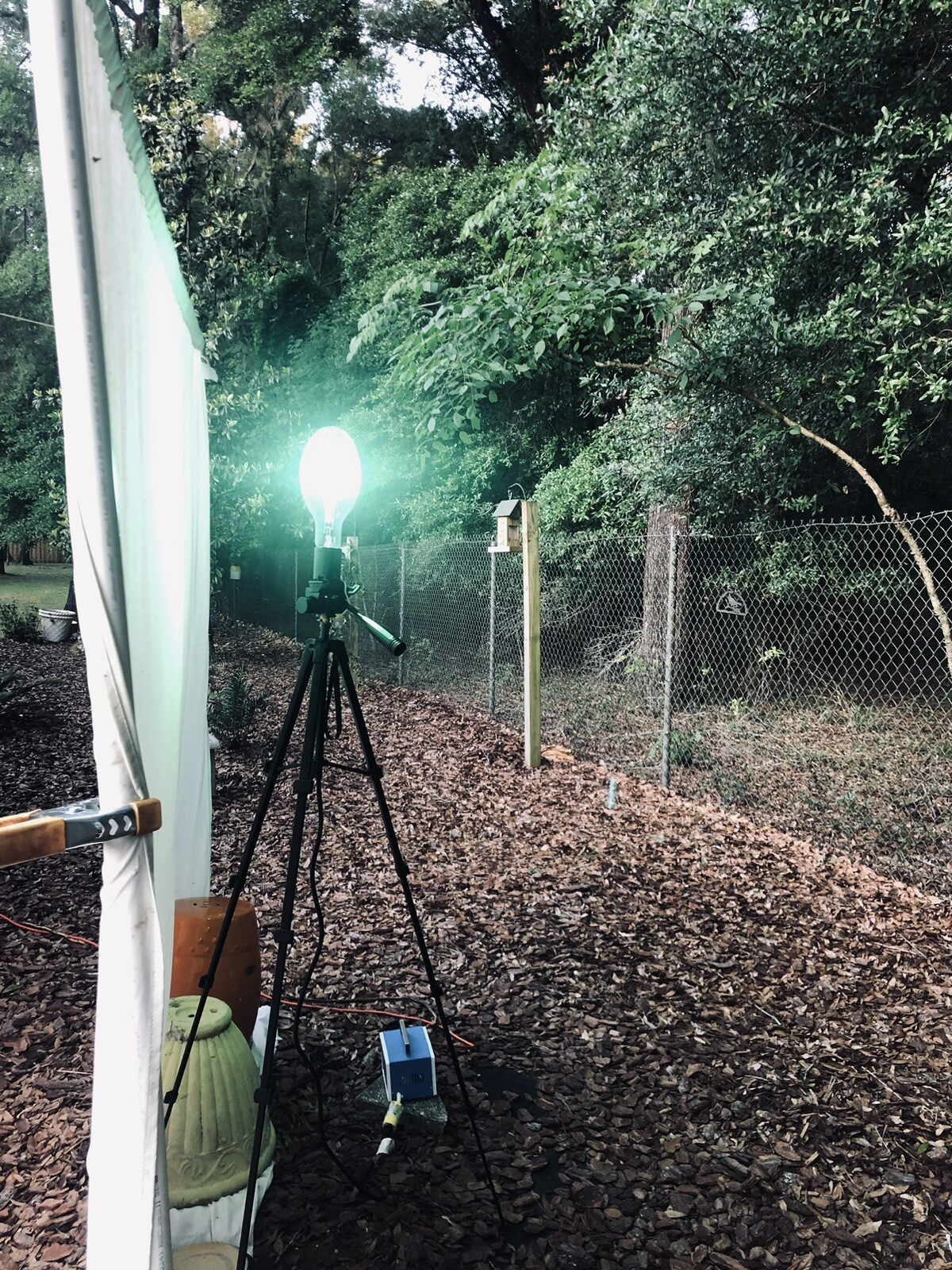 professional Moth collecting light , ballast ,+ sheet Only 1 on Ebay 250 watt professional Moth collecting light , ballast ,+ sheet Only 1 on Ebay 250 watt