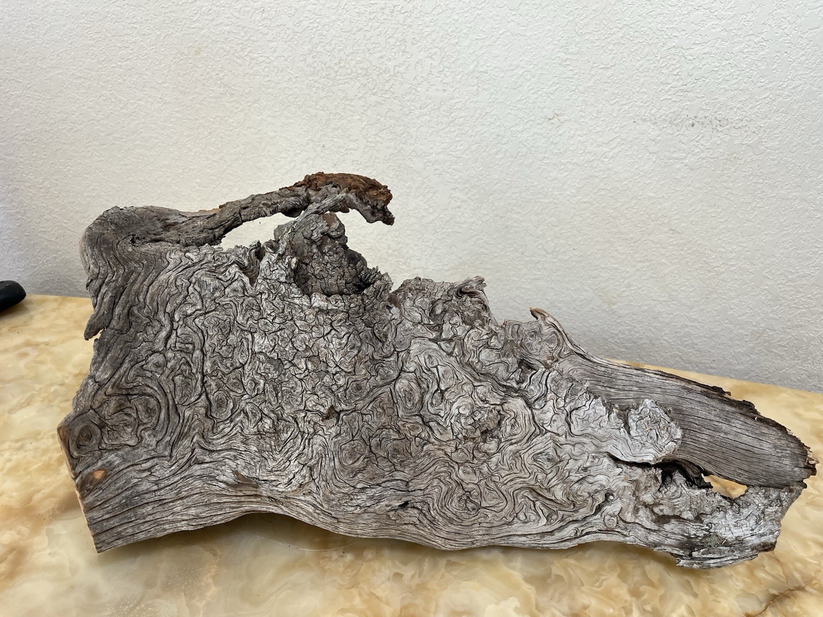 Ancient 1854 Pikes Peak Big Burn Ghost Wood Cavern Burl Swirl Log Sculpture