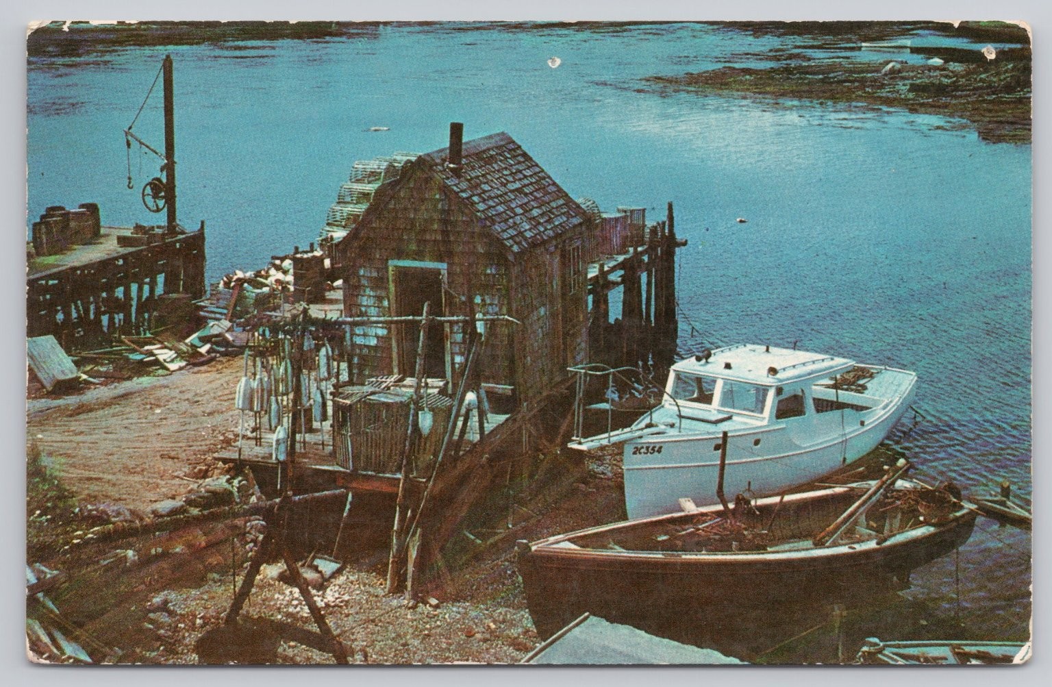 Vintage Typical Maine Fishing Shack Postcard Fisherman's Paradise