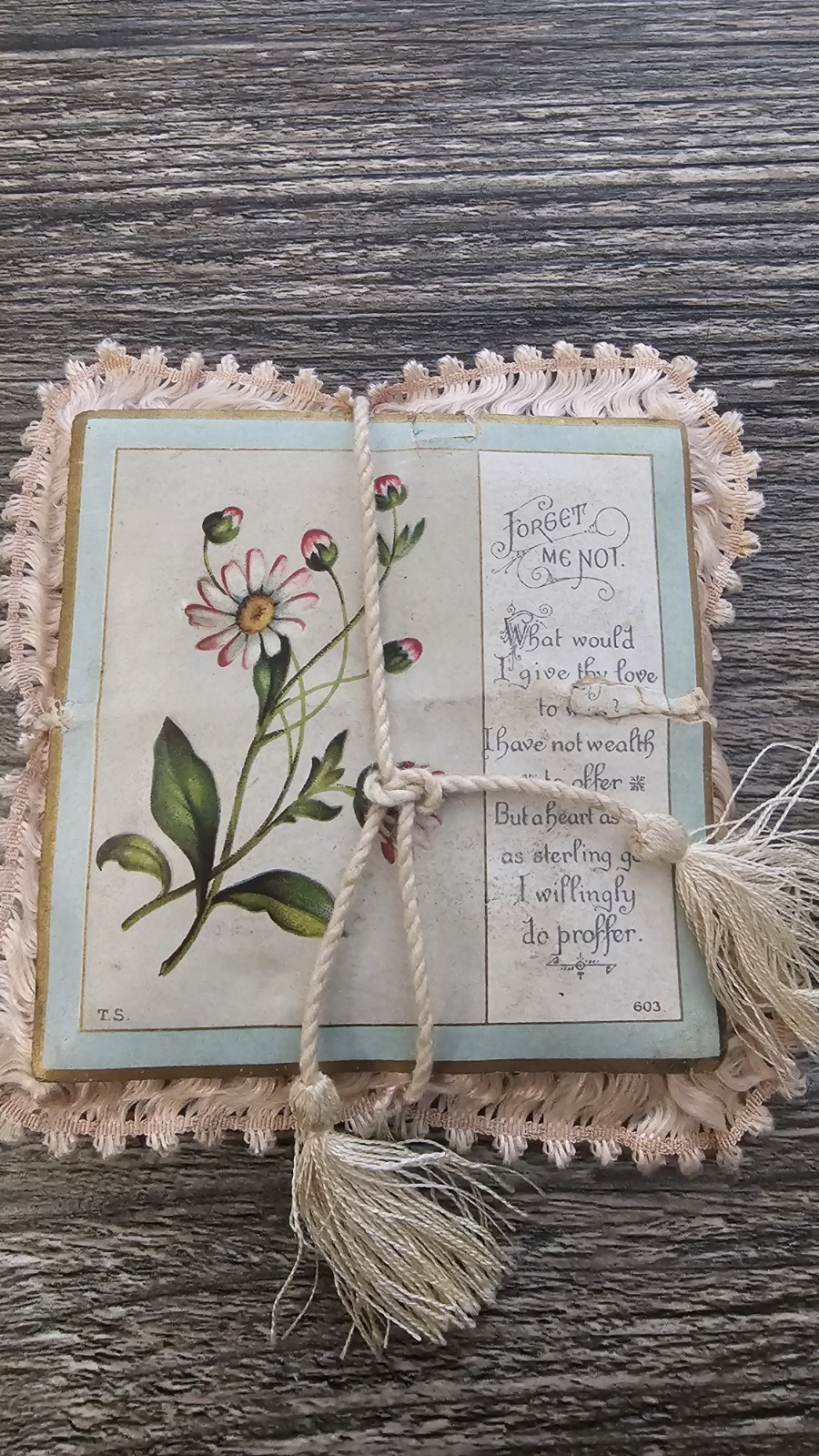 Antique Victorian Padded Fringe Card Thomas Stevens Coventry Love Poem TS 603