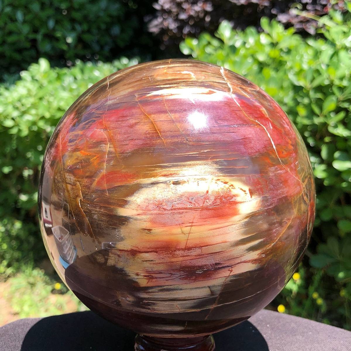 6.86LB Natural Patterns Petrified Wood Sphere Polished Crystal Ball healing