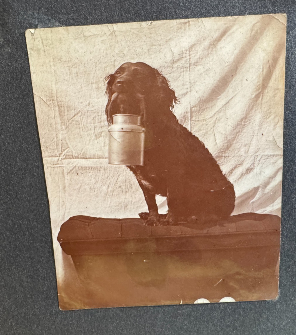 Vintage 20th Century Photo of a Home & Photo of Dog Holding A Bucket Lot of 2