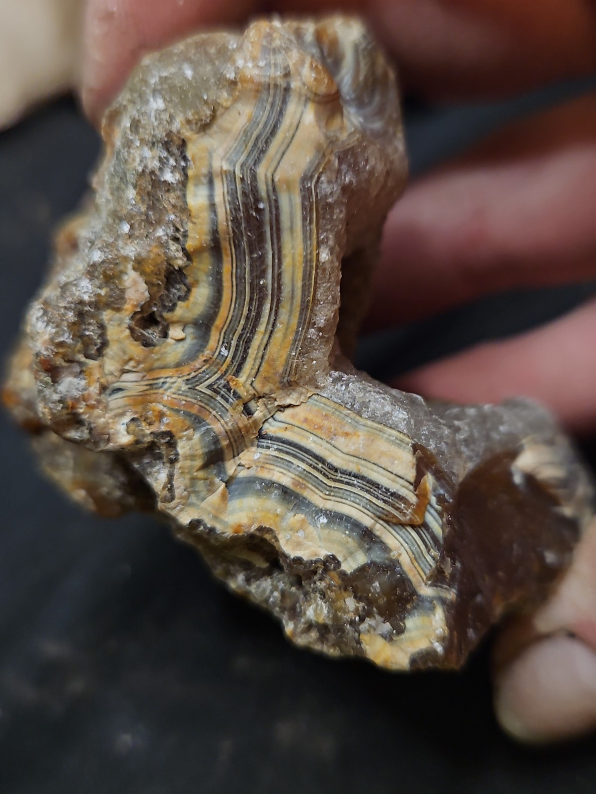 Carnelian Agate Specimen Natural Form (5.3oz)