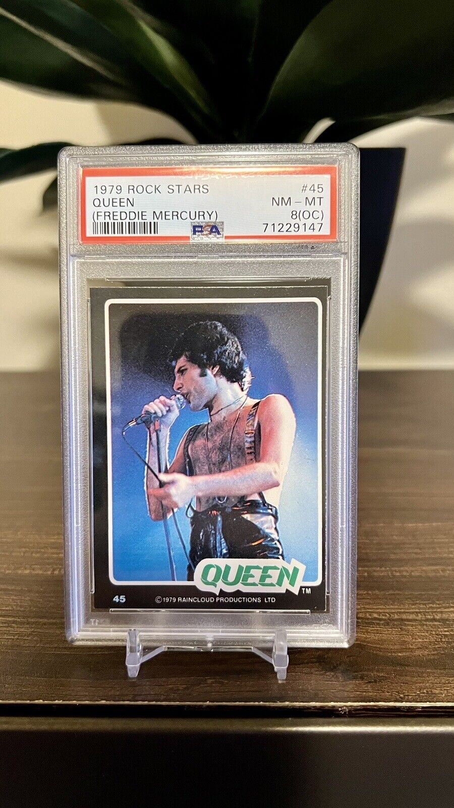 1979 Rock Stars #45 Freddie Mercury Queen PSA 8
