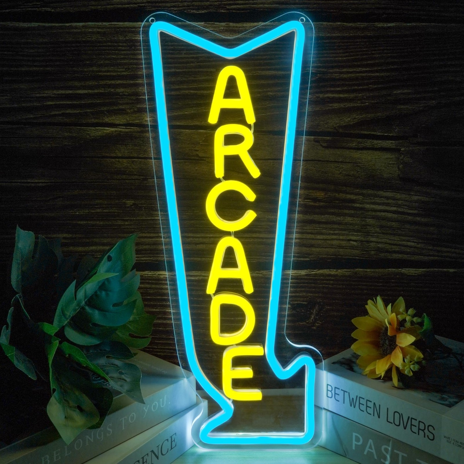 Arcade Neon Sign Light Dimmable Gaming Lights for Wall Decor USB Powered Neon...