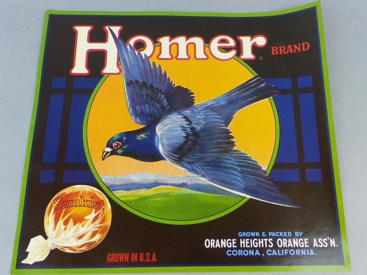 10 Pc Original Vintage Dead Stock HOMER Sunkist Oranges Fruit Crate Paper Label 