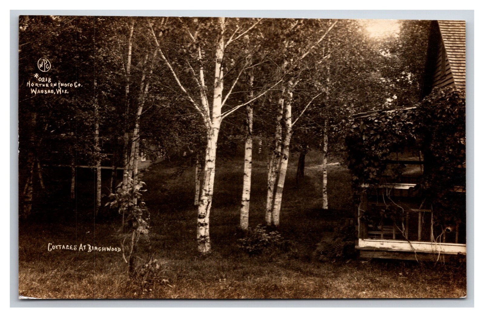 RPPC Cottages at Birchwood Wisconsin WI Northern Photo Co UNP Postcard W22