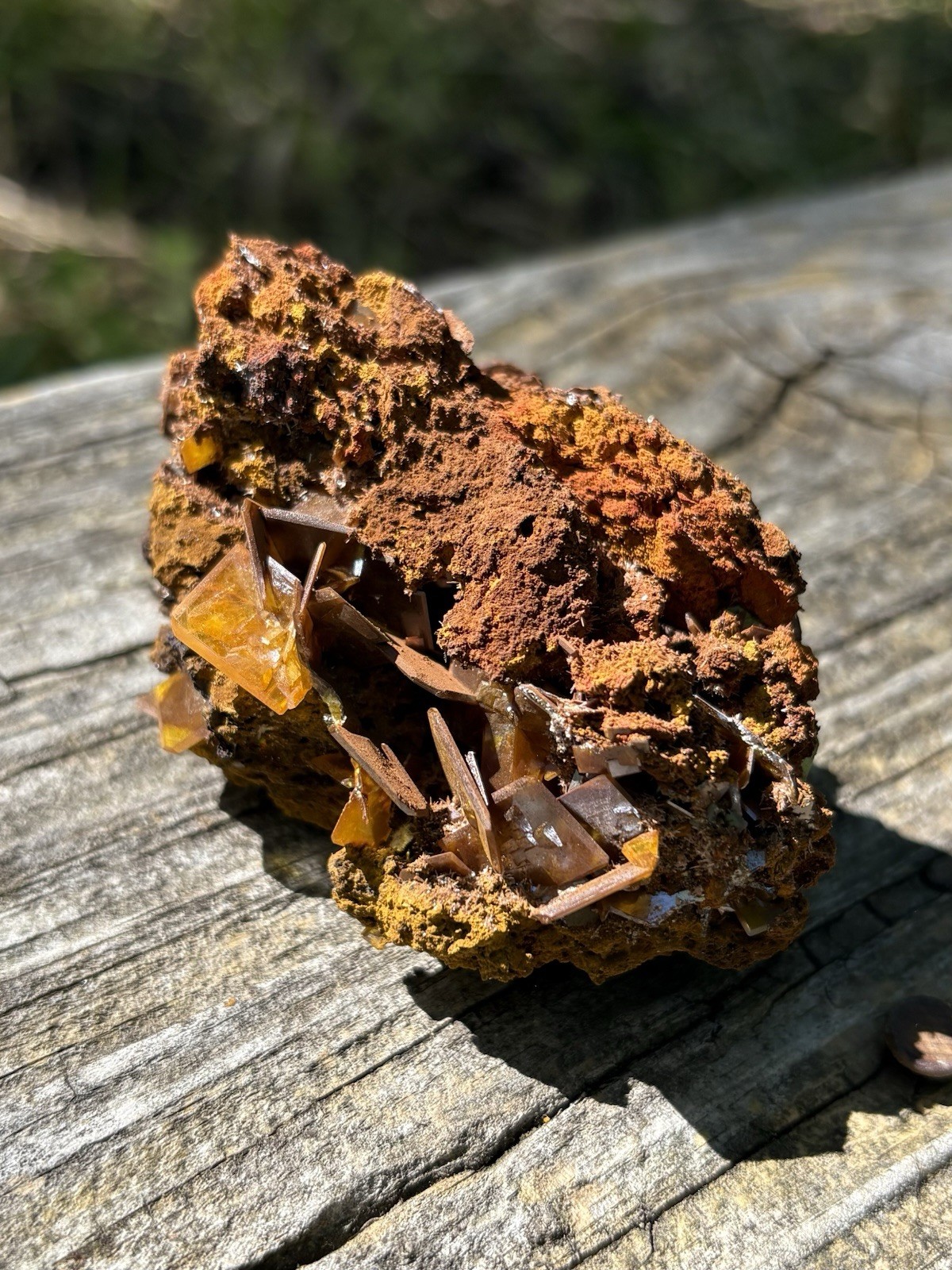 Natural Wulfenite Crystal- Bright Orange 3.3” Wulfenite Minerals Chihuahua MX