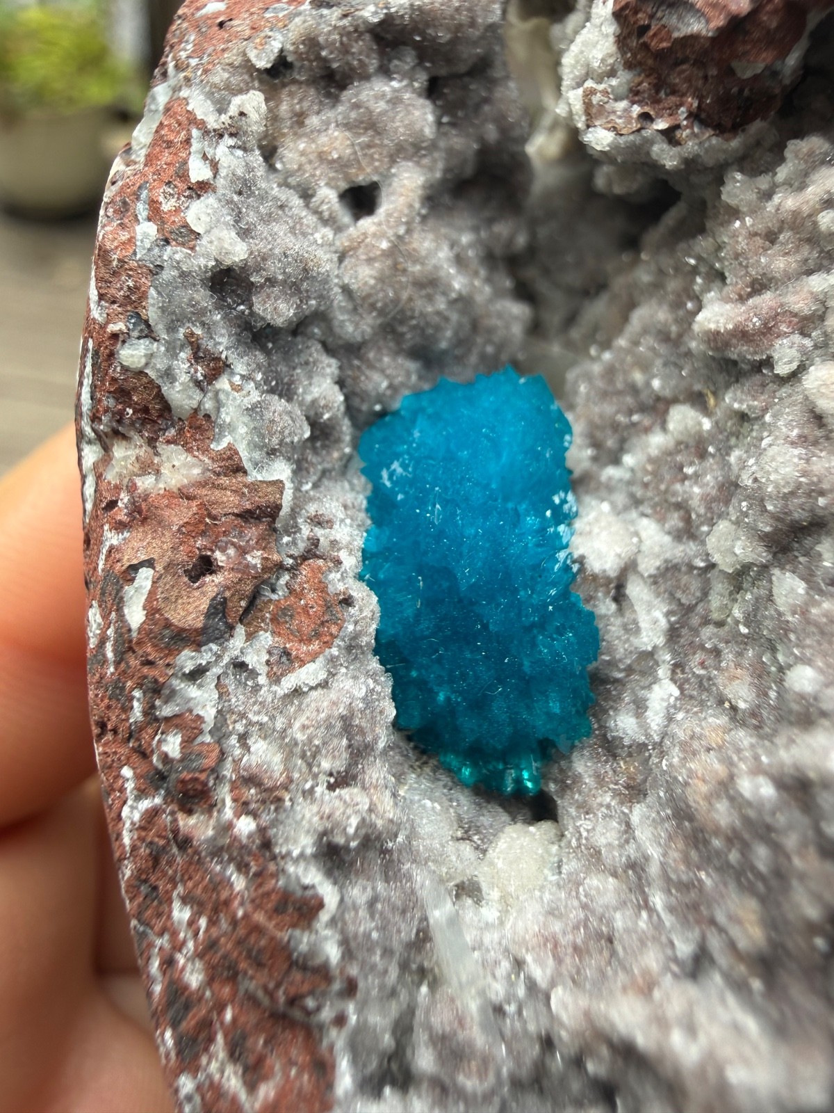 Fully Terminated Cavansite Crystal in Matrix, India