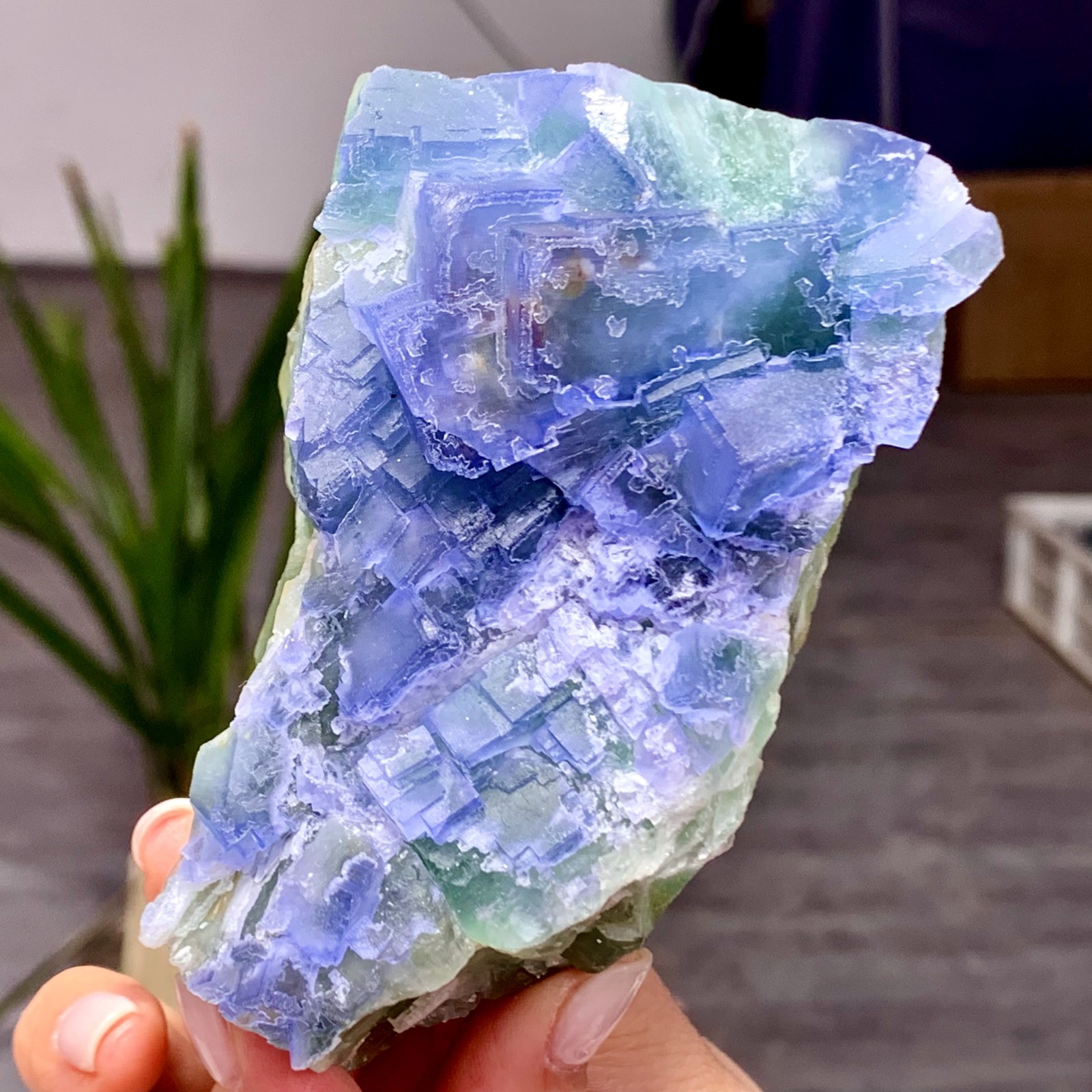 457G  Natural crystal Rare transparent blue green fluorite cubic sample/China