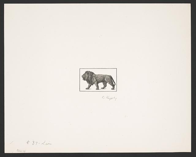 Photo:Lion Standing Left Profile 1870s-1890s Print