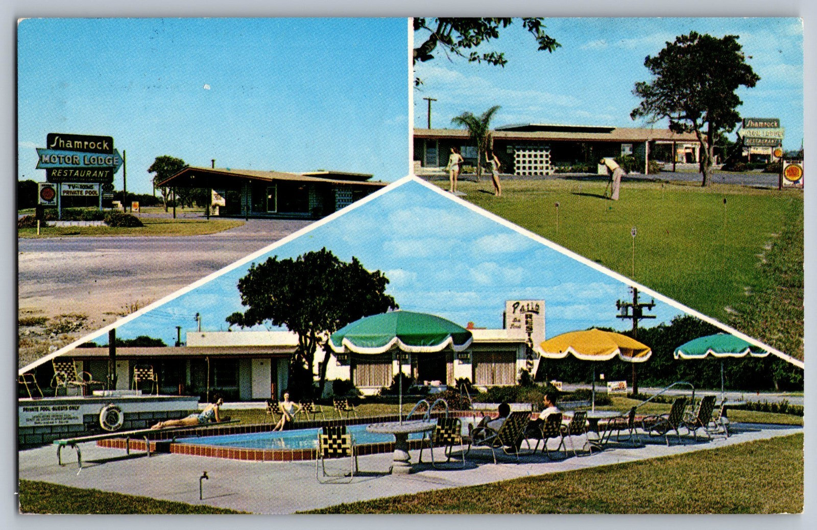 Shamrock Motor Lodge Winter Haven Florida Postcard