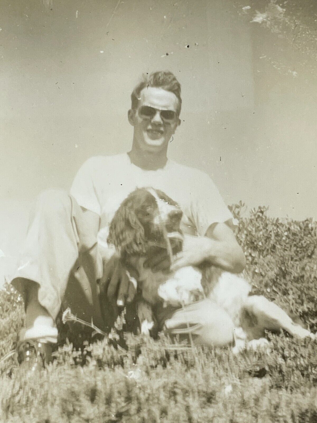 Q6 Photograph & Negative Handsome Man Sunglasses Grass POV Cute Dog 1940\'s