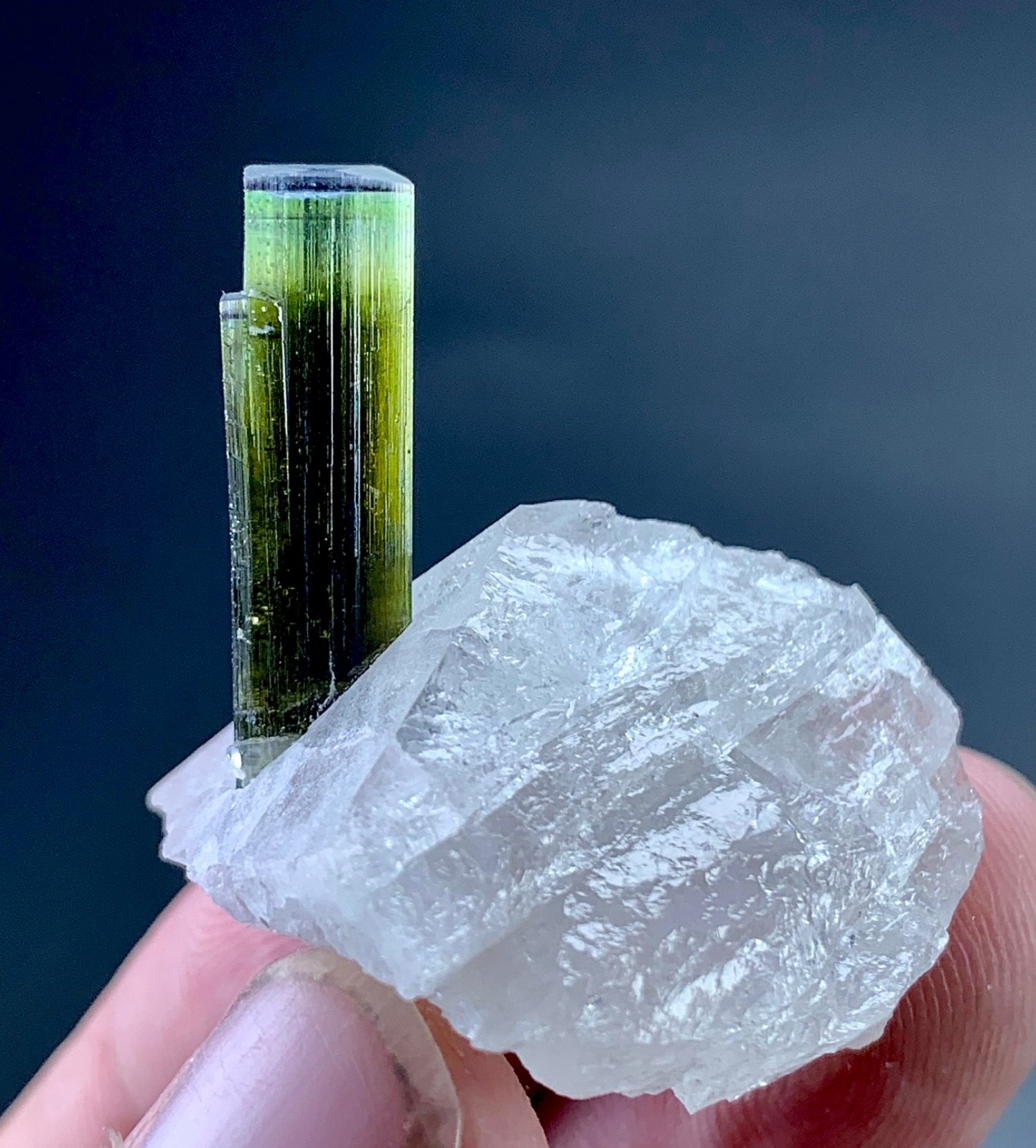 55 Carat Green Cap Tourmaline Crystal Specimen On Quartz From Afghanistan 55 Carat Green Cap Tourmaline Crystal Specimen On Quartz From Afghanistan