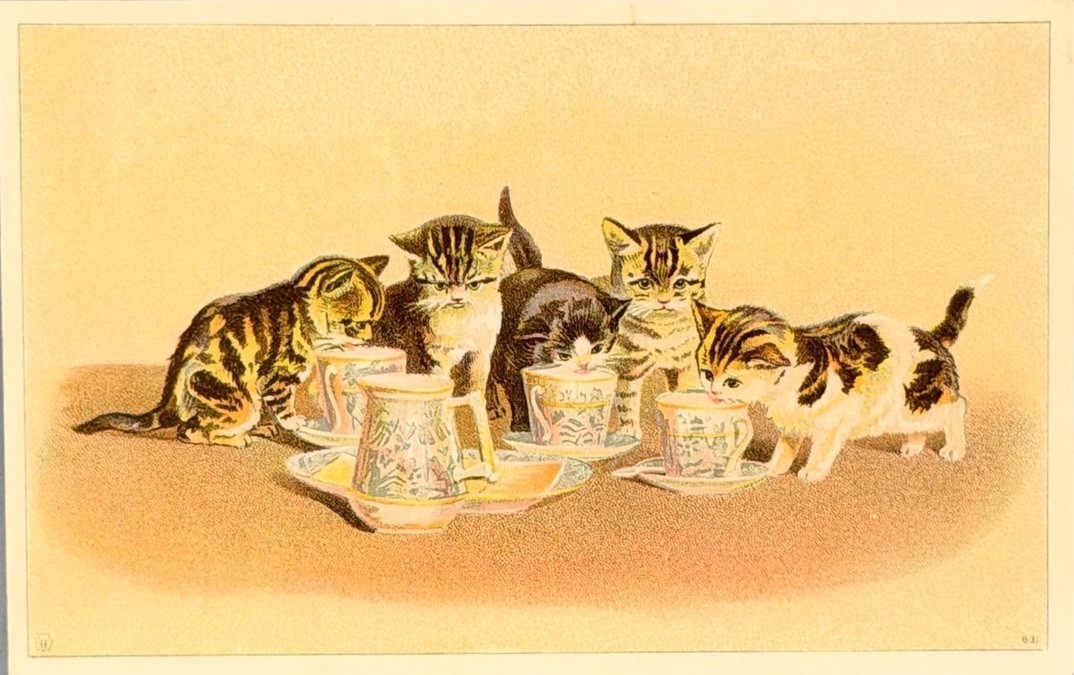 Antique Helena Maguire Cat Postcard Washburn Crosby Co Flour Ad Minneapolis MN