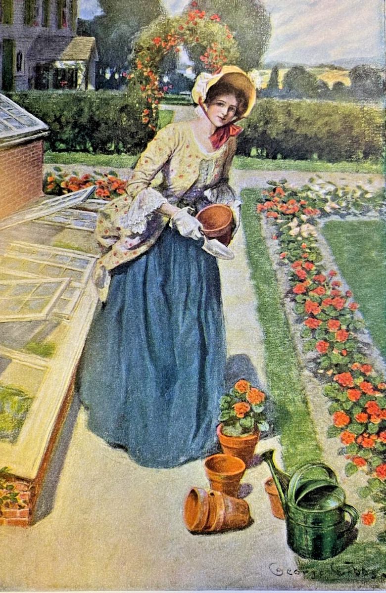 1905 Vintage Magazine Illustration Victorian Woman Looking at Geraniums