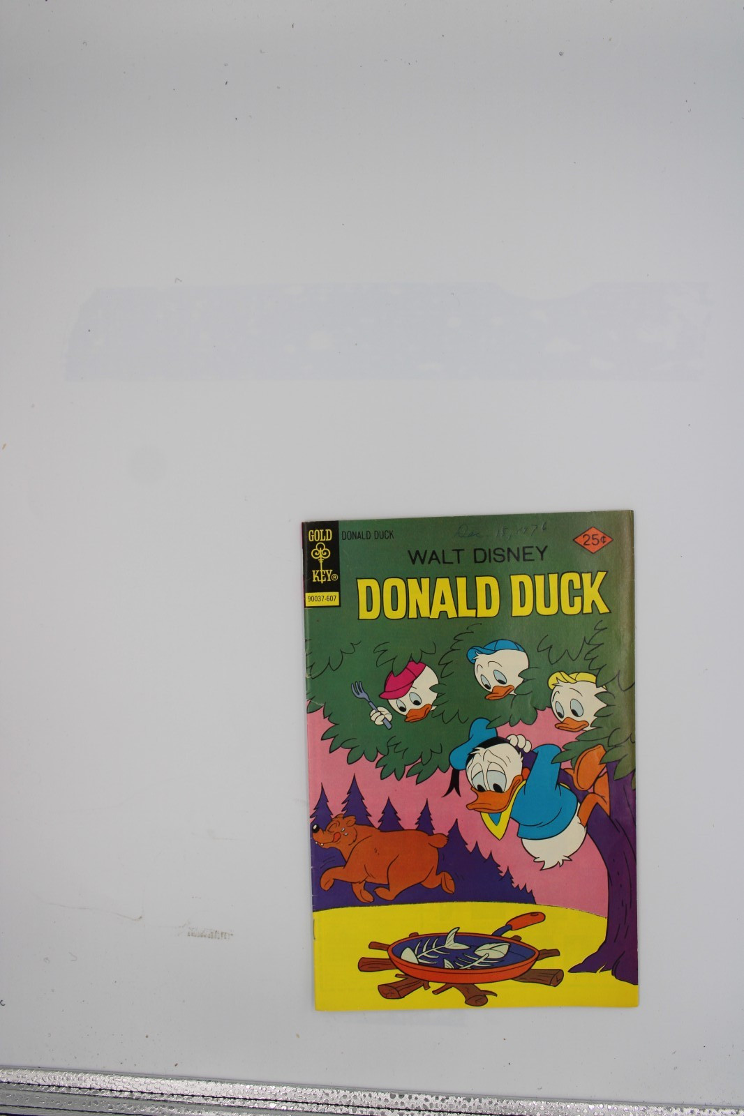 Walt Disney's Donald Duck #173 Gold Key 1976 VF/NM 9.0 Vintage High Grade