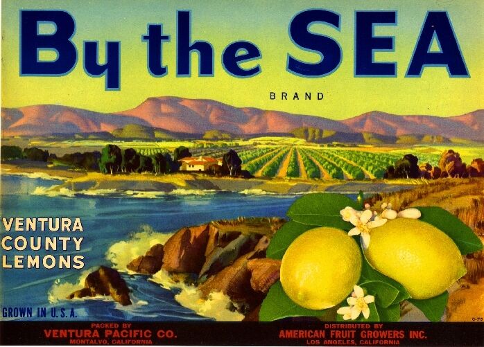 Montalvo Ventura County By the Sea Lemons Citrus Fruit Crate Label Print