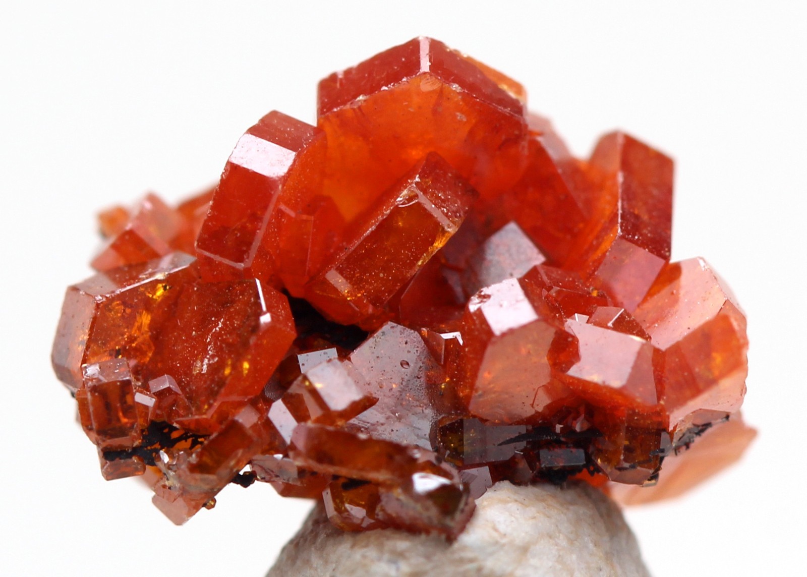 VANADINITE Crystal Mineral Specimen Cluster Micromount Natural Red MOROCCO