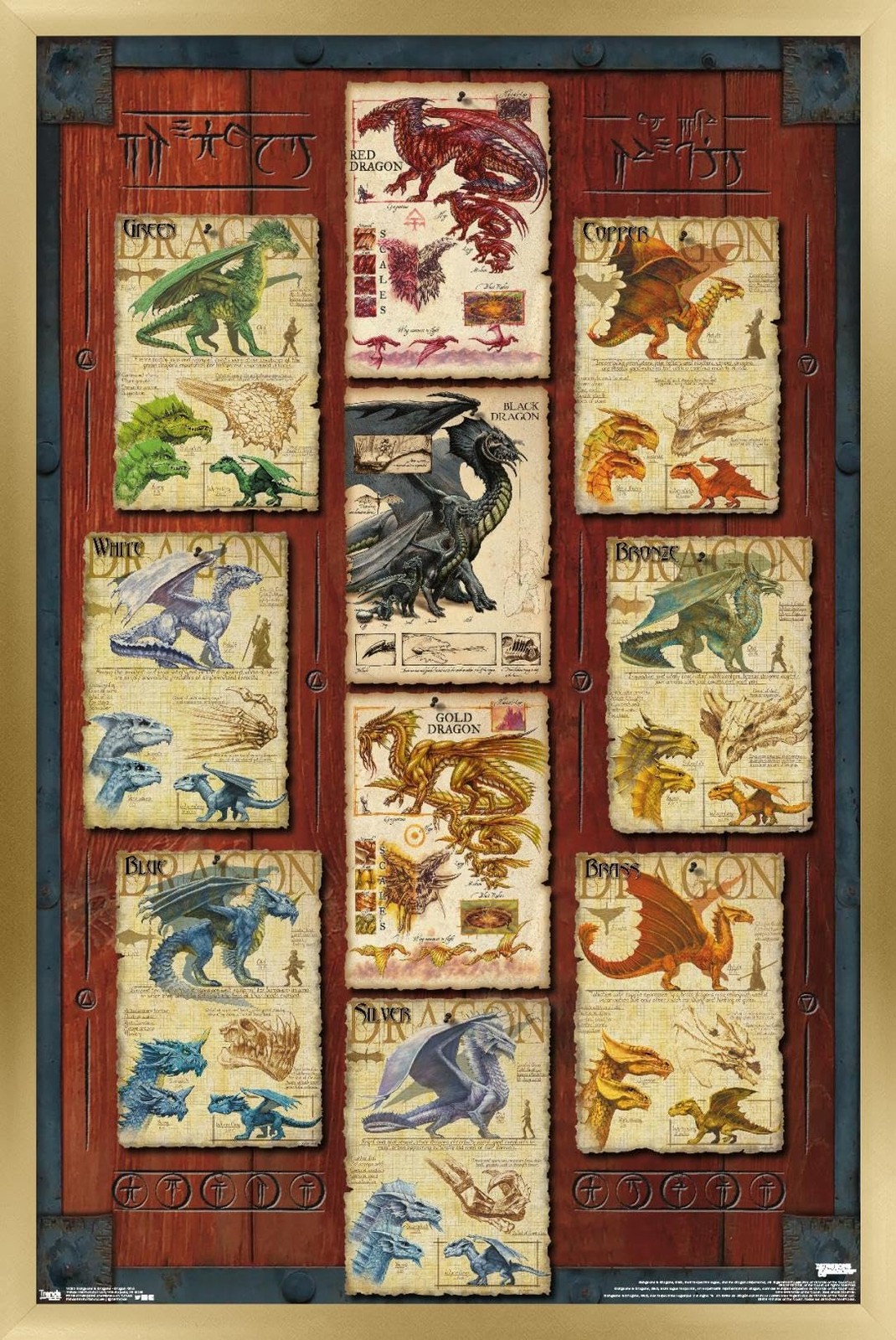 Dungeons and Dragons Dragon Grid Wall Poster 34L x 22.4W Gold Framed