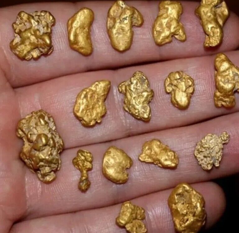 Rich Gold Nugget Pay Dirt Approximately 1 lbs OF UNSEARCHED PAYDIRT BUY 2/1 FREE