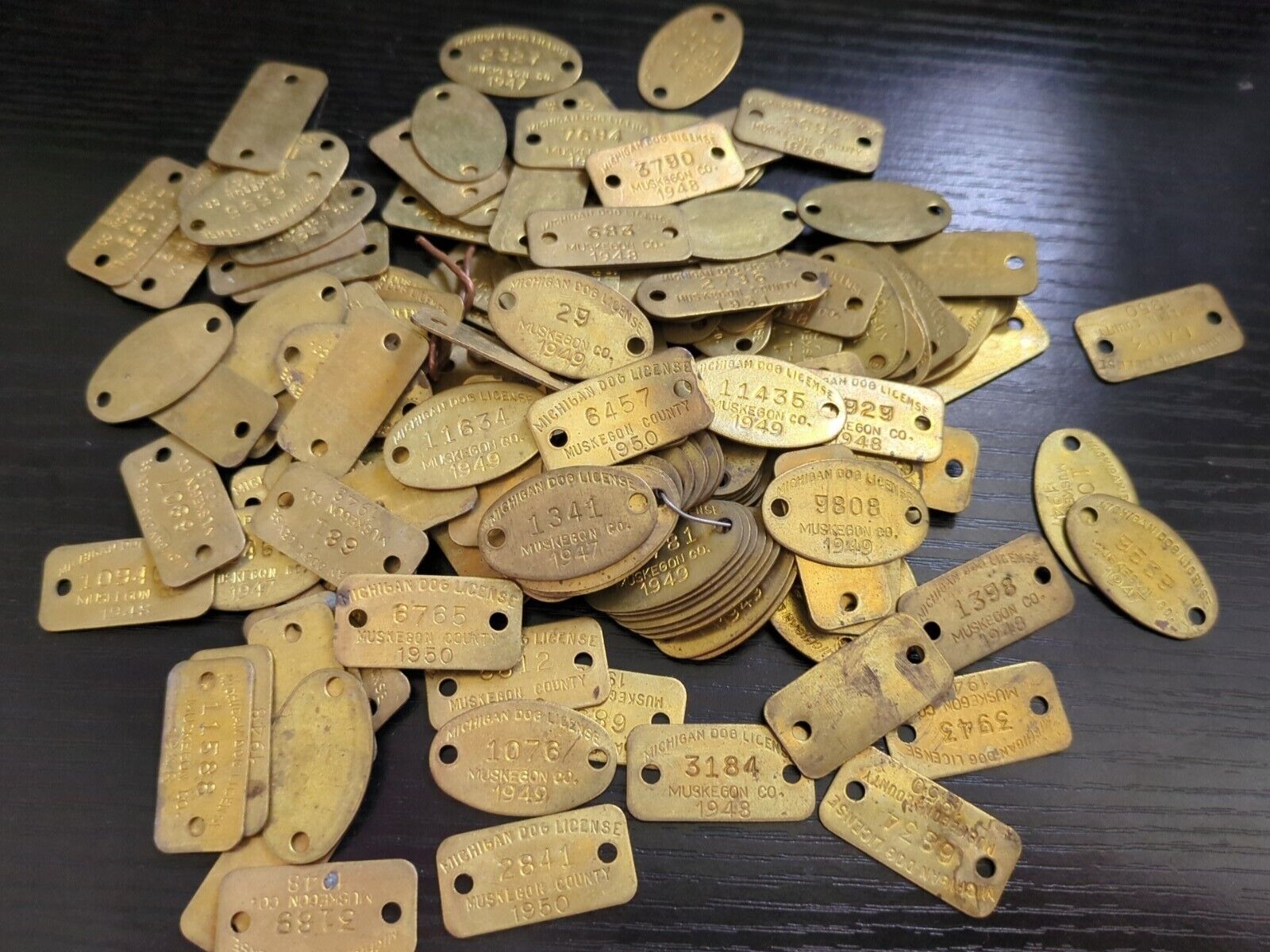 1948 To 51 Vintage Michigan Dog License Tags Lot Of 10 Brass Muskegon Twp Tags 