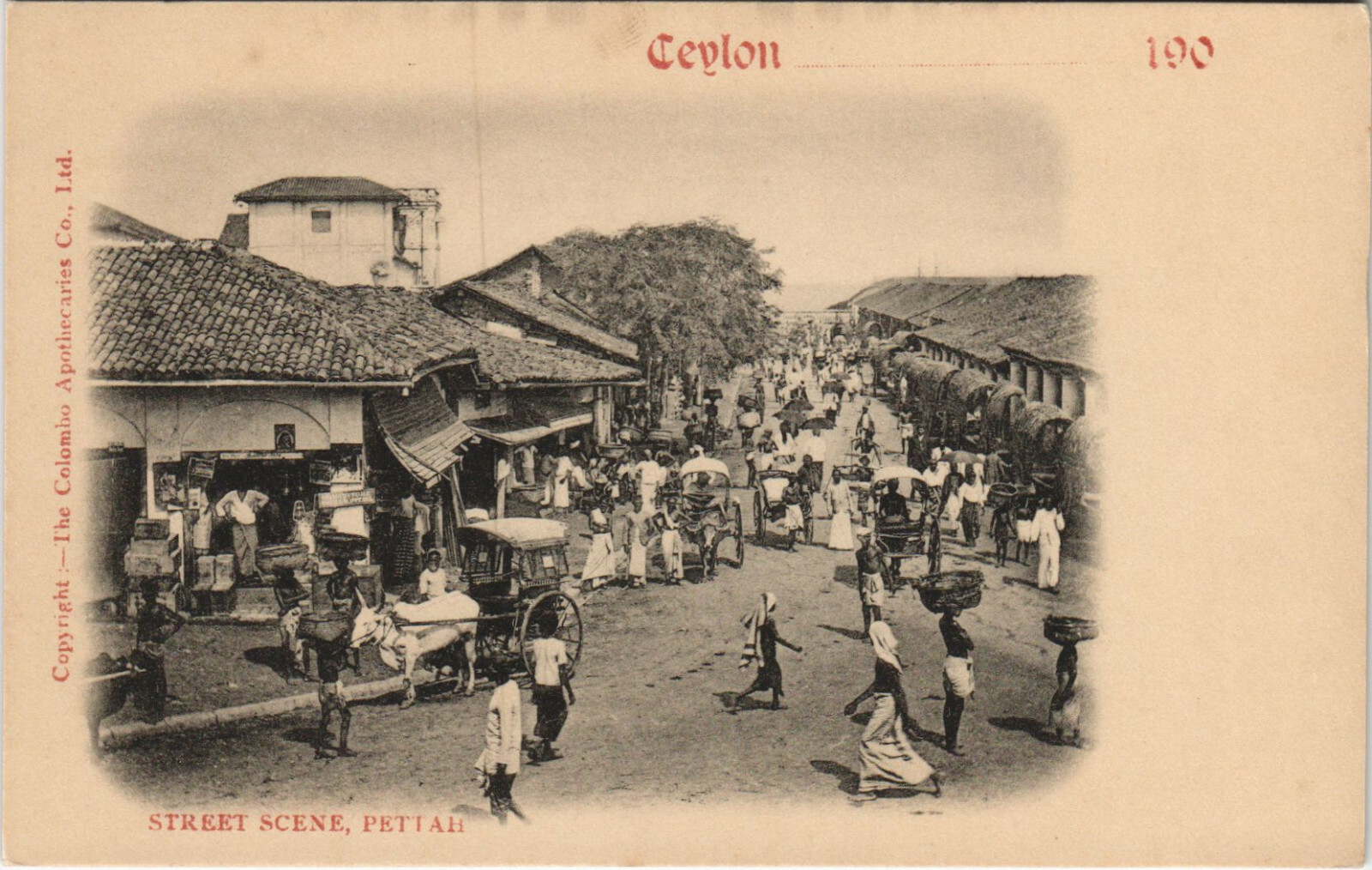 PC CEYLON / SRI LANKA, STREET SCENE, PETTAH, Vintage Postcard (b39763)