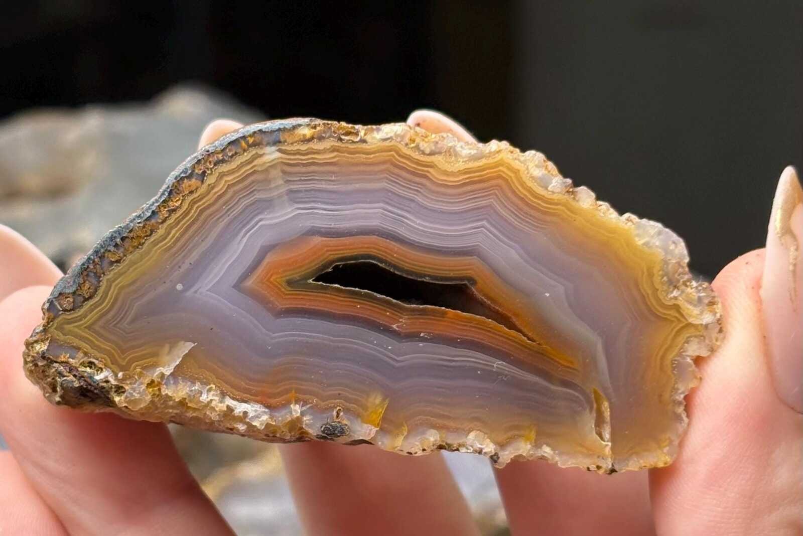 Coyamito Agate Nodule | Rare Banded Chihuahua Mexico Collector Specimen