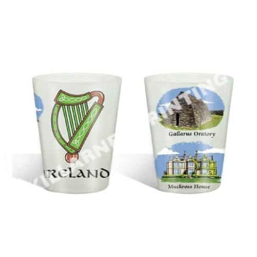 Killarney Printing Historic Ireland Frosted Shot Glass Kitchenware