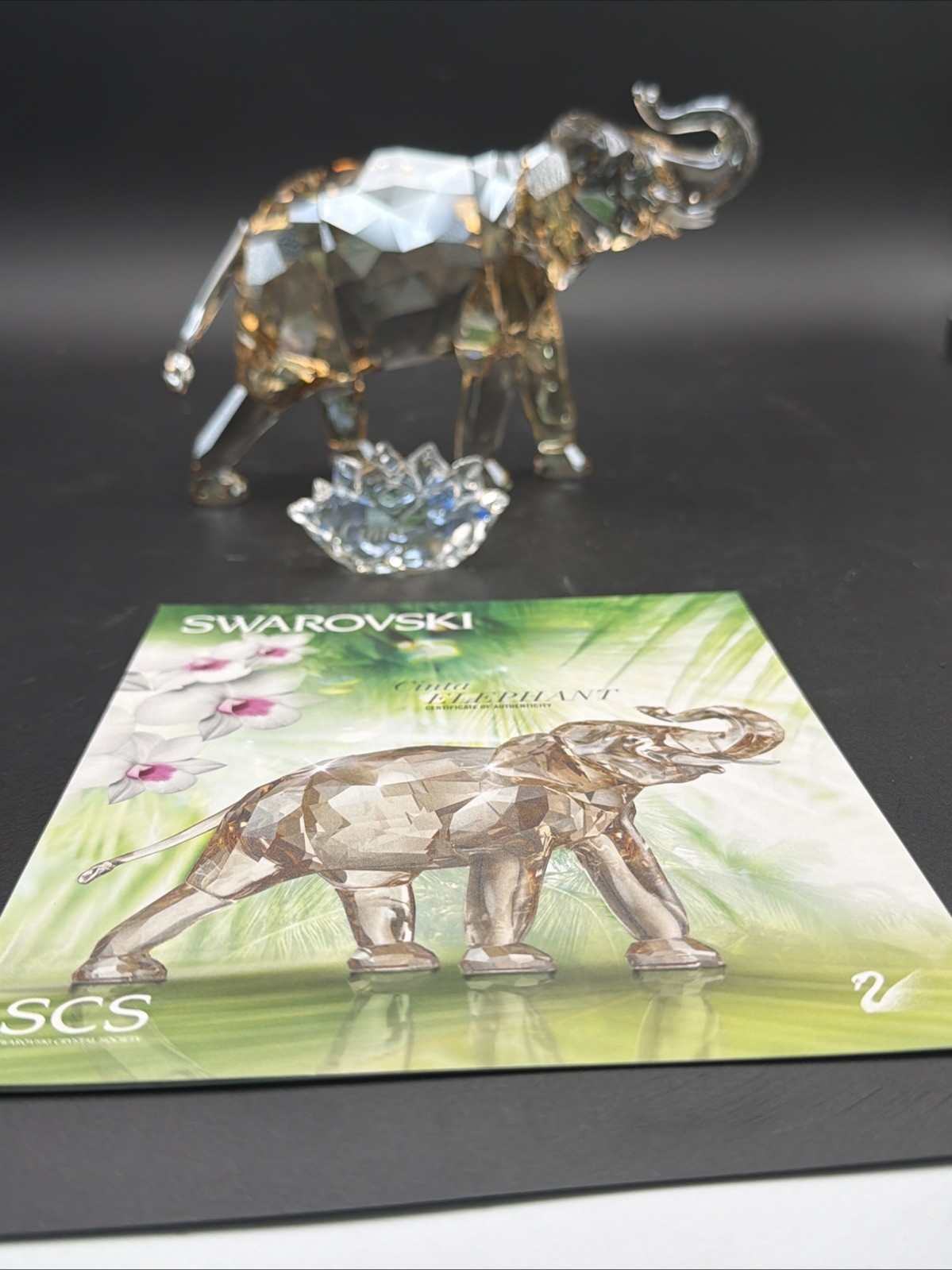 Swarovski SCS 2013 Cinta Elephant 1137207 Annual Edition Box COA Plaque