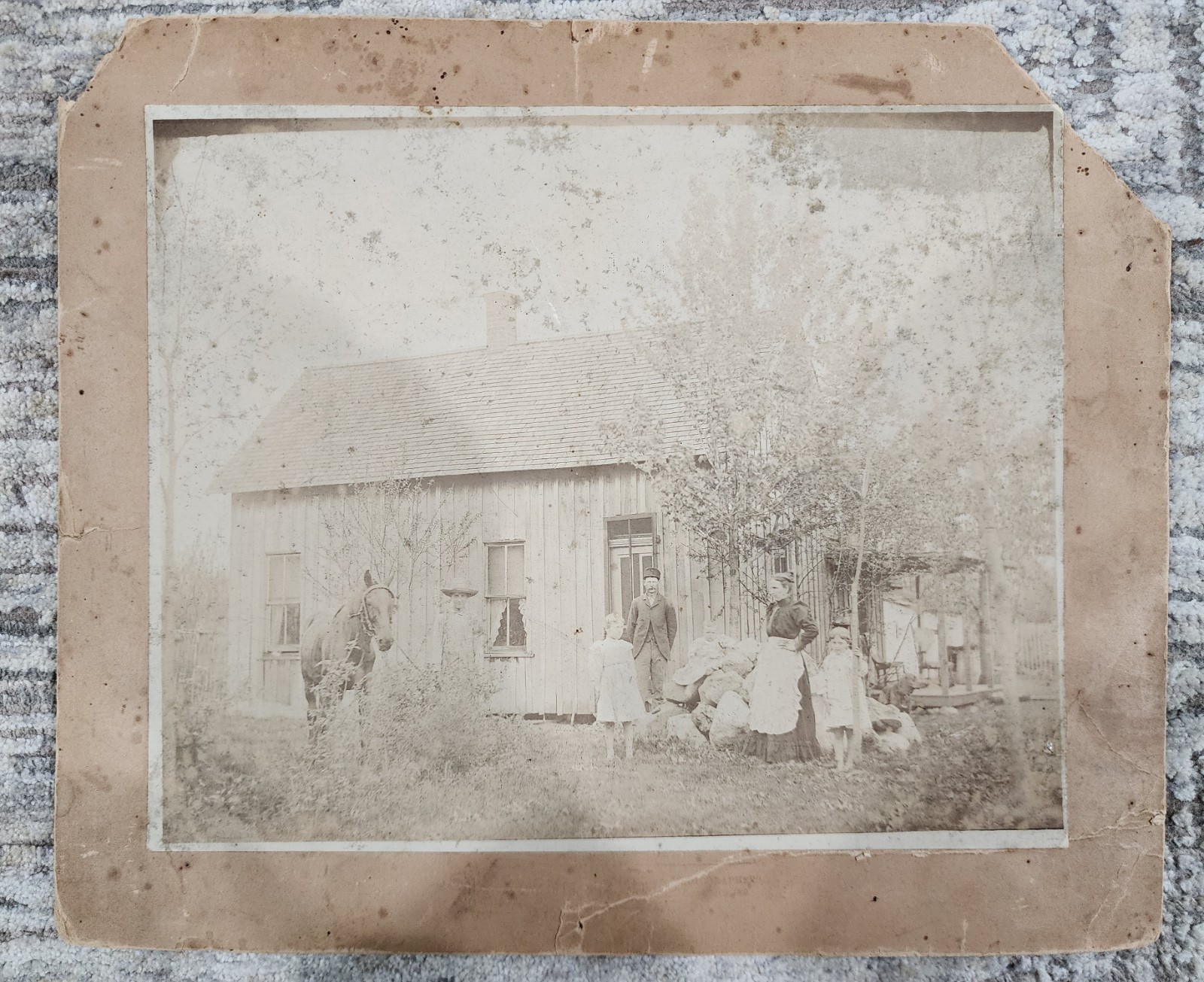 Antique Photograph - Iowa Farm Family - near Moravia, IA - \