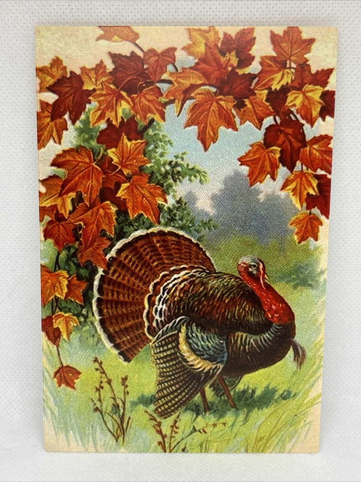 Thanksgiving Vintage Style Unused Postcard Greeting Card 4 x 6”