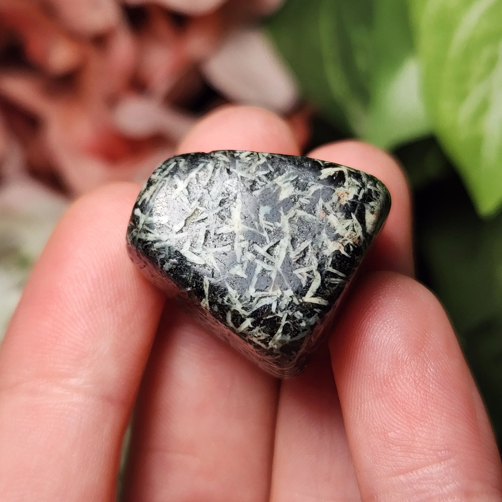 Chrysanthemum Stone
