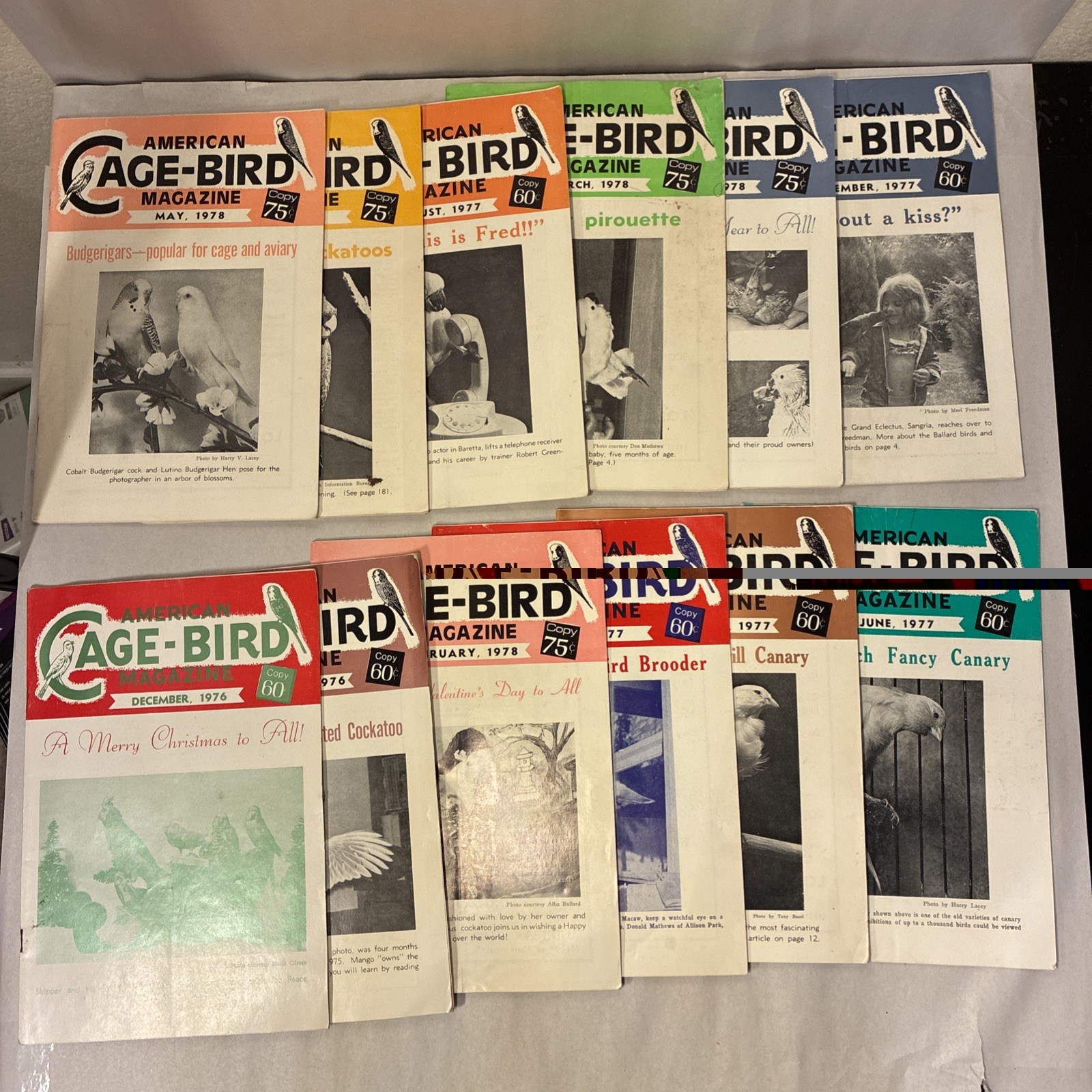 Vintage LOT American Cage Bird Magazines Lot of 10 1976-78