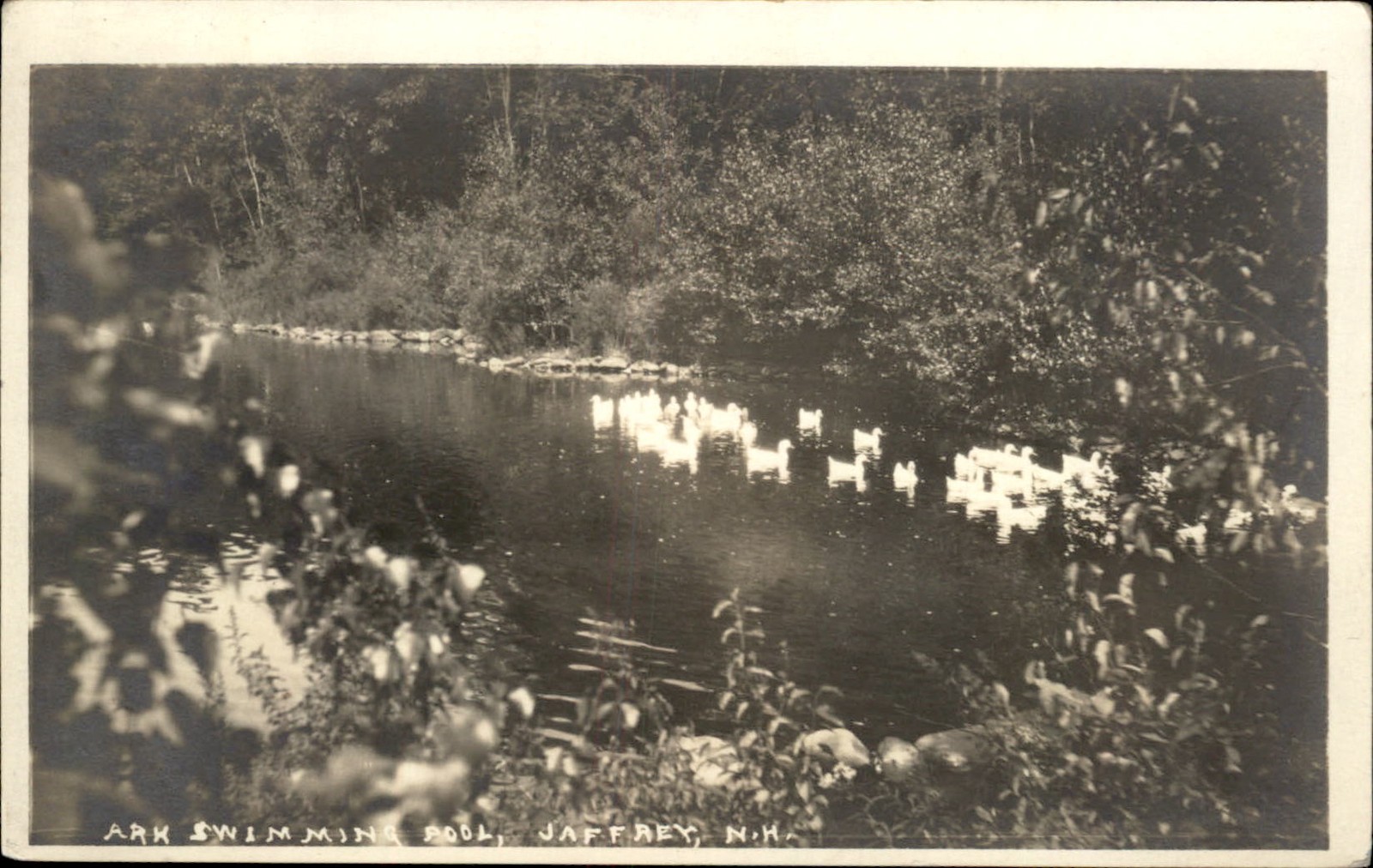 Jaffrey NH Swimming Pool c1900s-10s Real Photo Vintage Postcard bhn