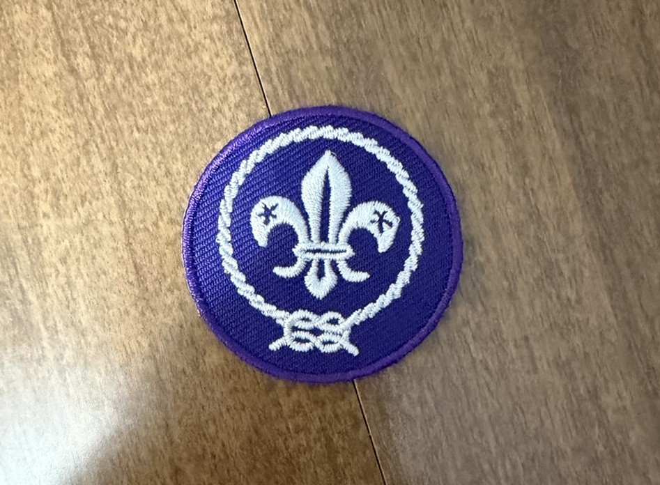 Boy Scout Of America scouting World Crest Patch Brand New BSA 