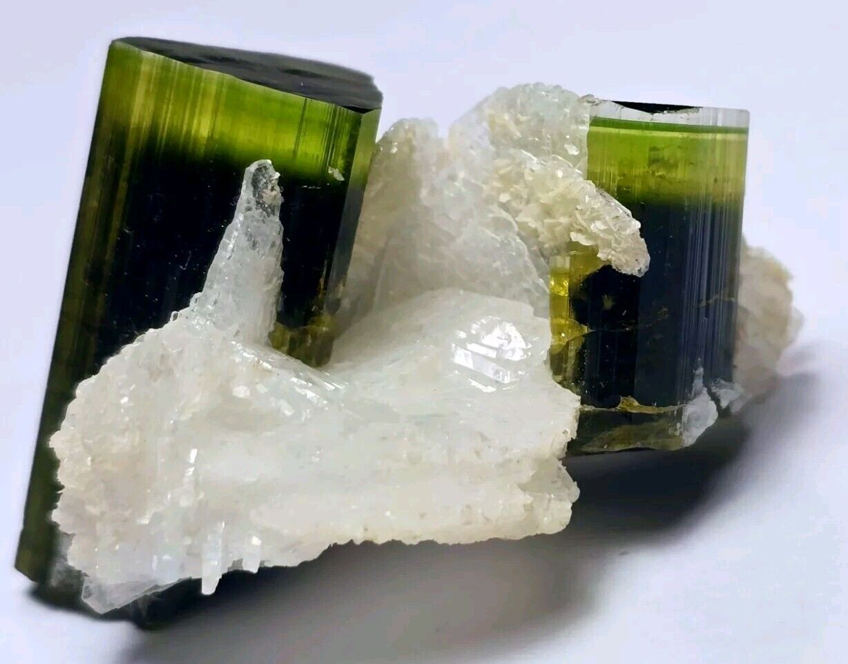 Bi Colour Tourmaline Crystals Specimen 25-gm Well Terminated@Astak Mine Pakistan