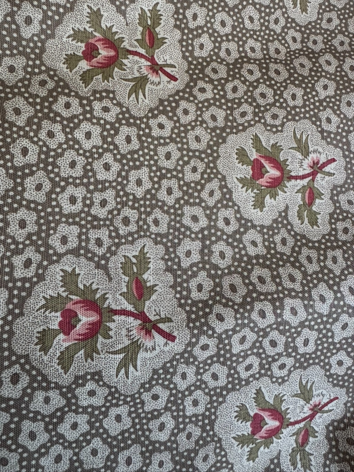 Jane Shelton Rose Medallions Brown 2 yards