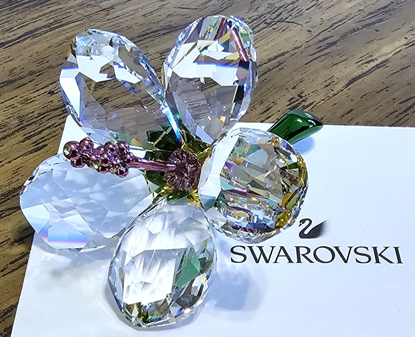 🌺 Swarovski Crystal 2025 \