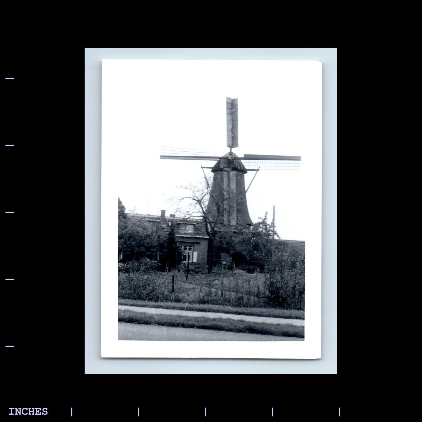 Old Vintage Photo STREET SCENE WINDMILL AND BUILDING