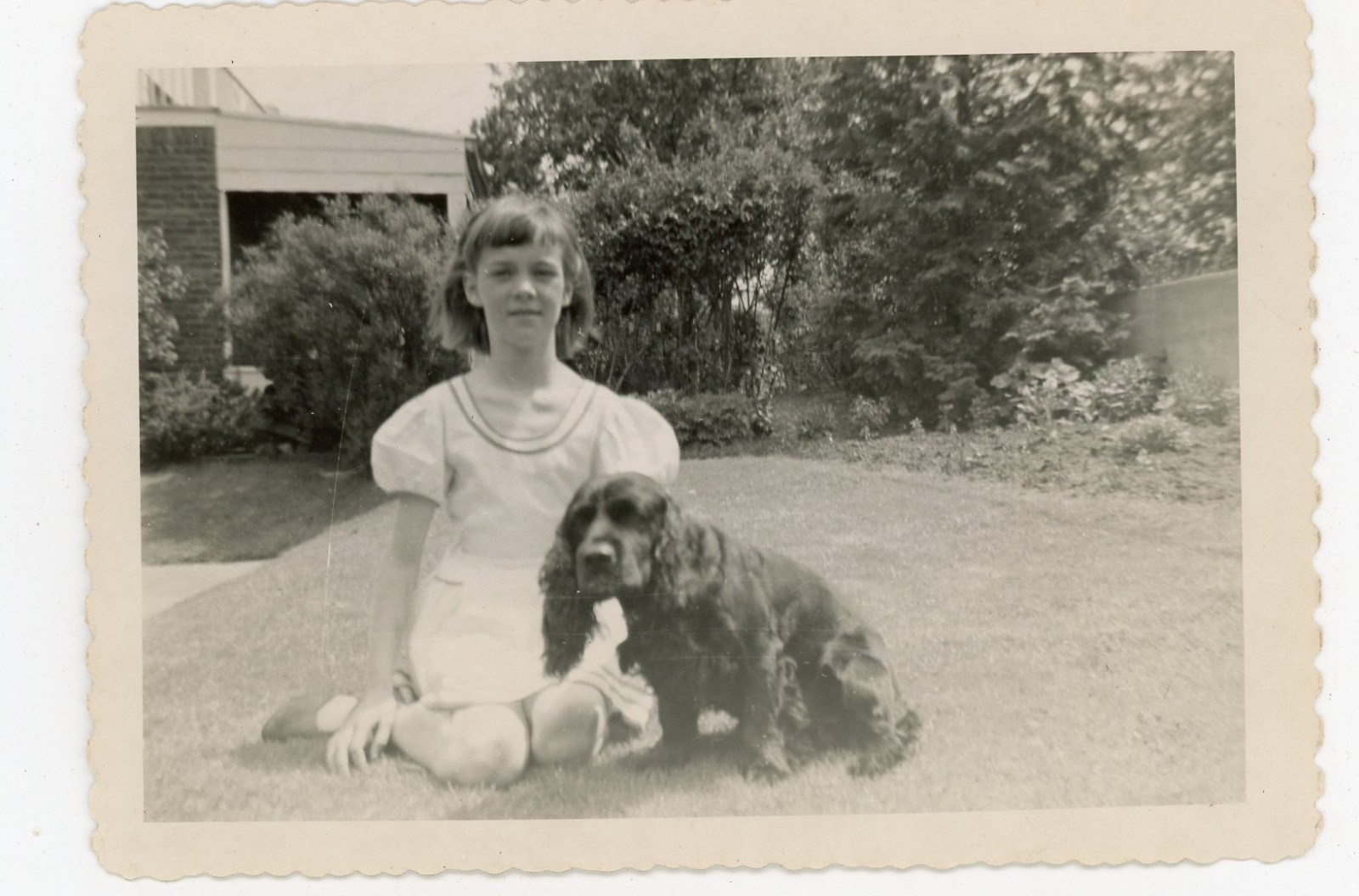 Vintage Photo Child Girl w Dog Skippi Yard Scene May 12 1951 Snapshot 3.5x5
