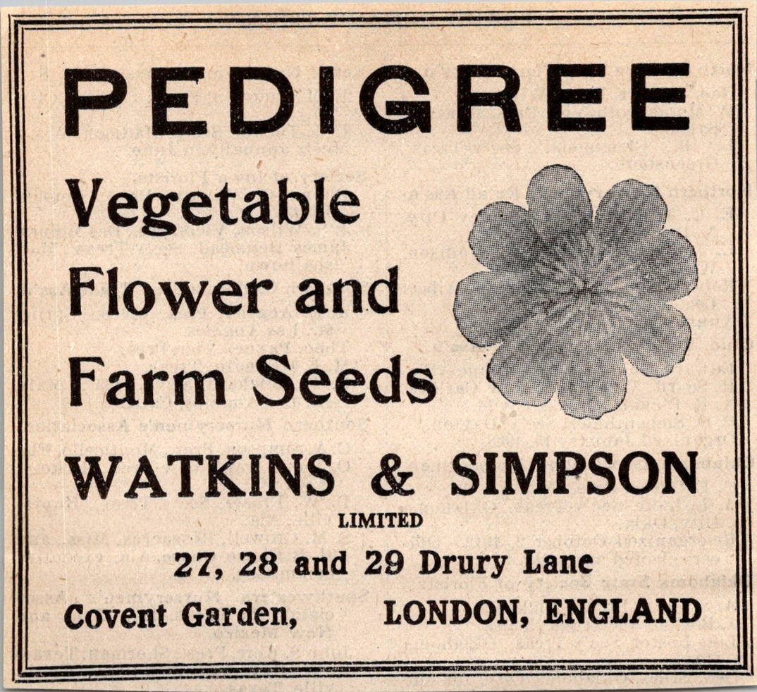 Watkins & Simpson Pedigree Vegetable London England 1922 Ad 4AK8-6