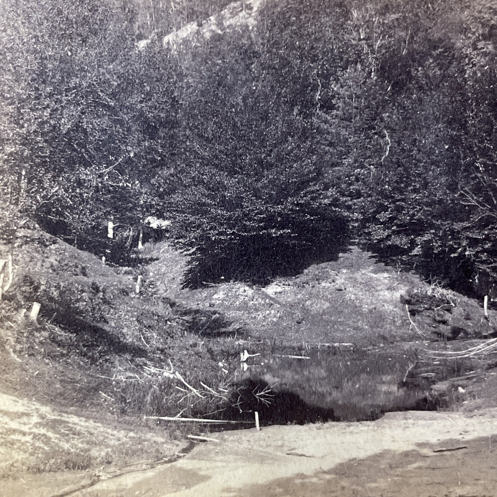 Humphrey\'s Ledge Stereoview A. Marshall No. 110 White Mountain Scenery 1880s