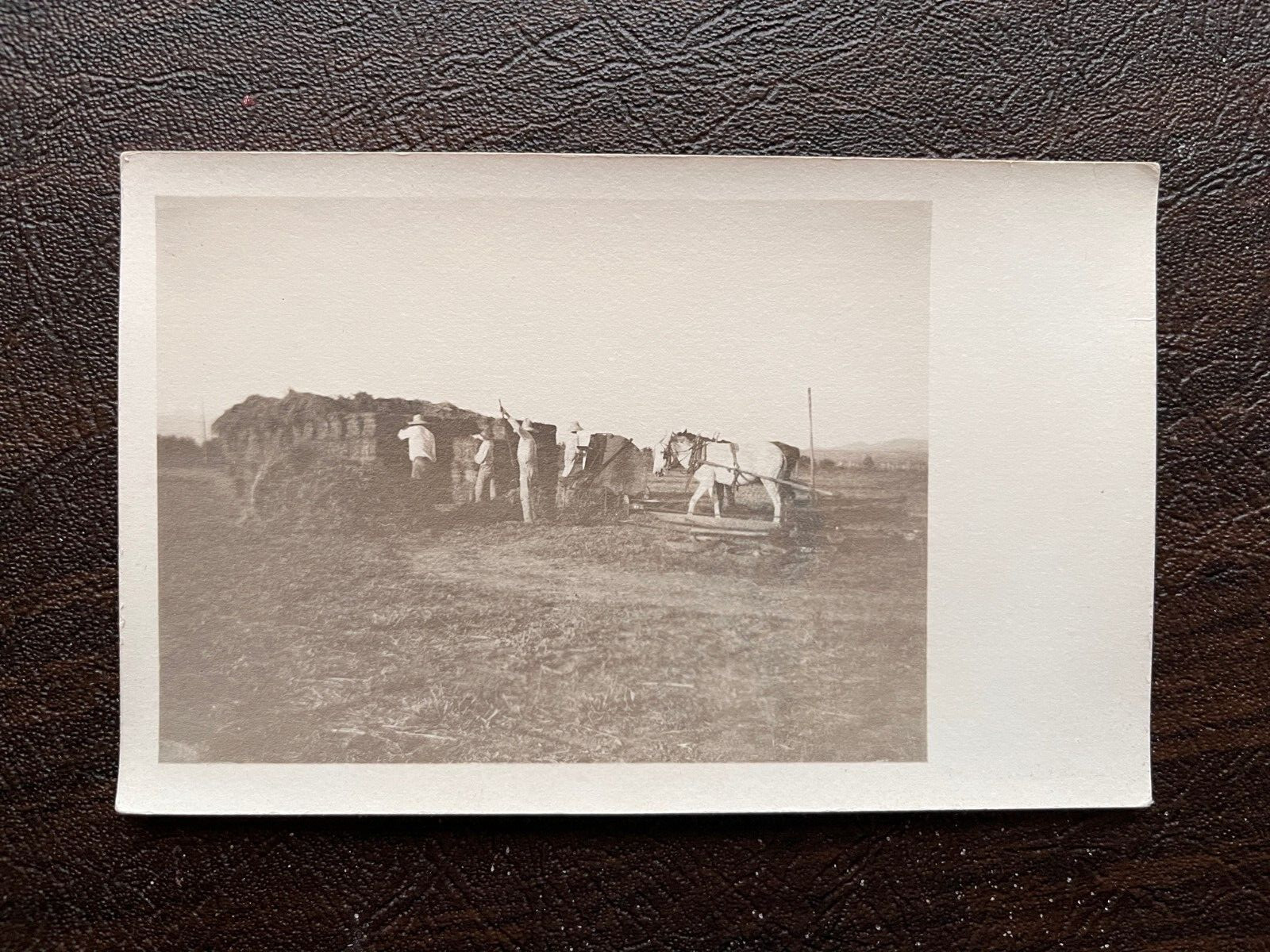 RPPC Berino New Mexico Farming Scene Loading Hay Bales early 1900s