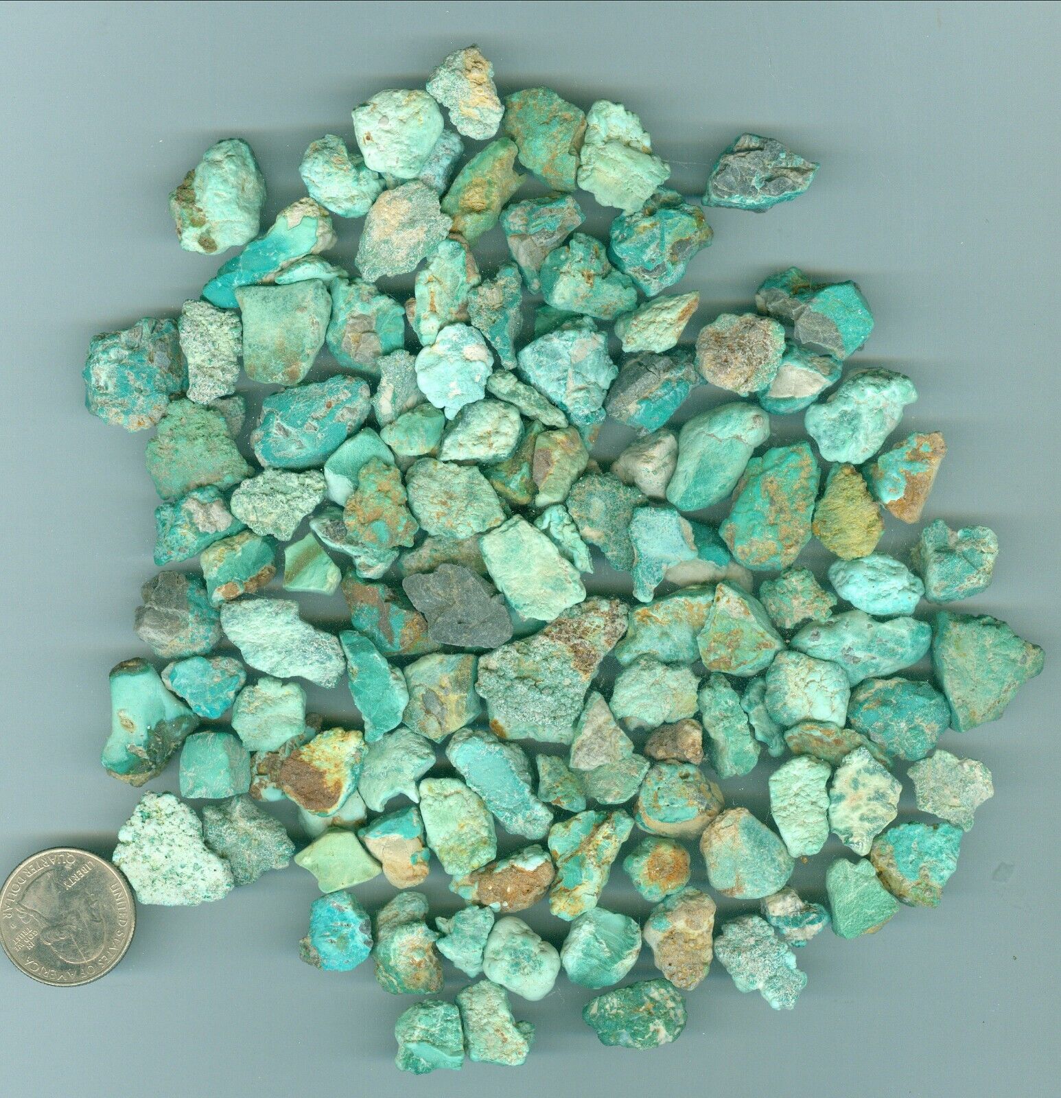 236 Grams of Natural American Fox Mine Turquoise Rough Nevada Turquoise
