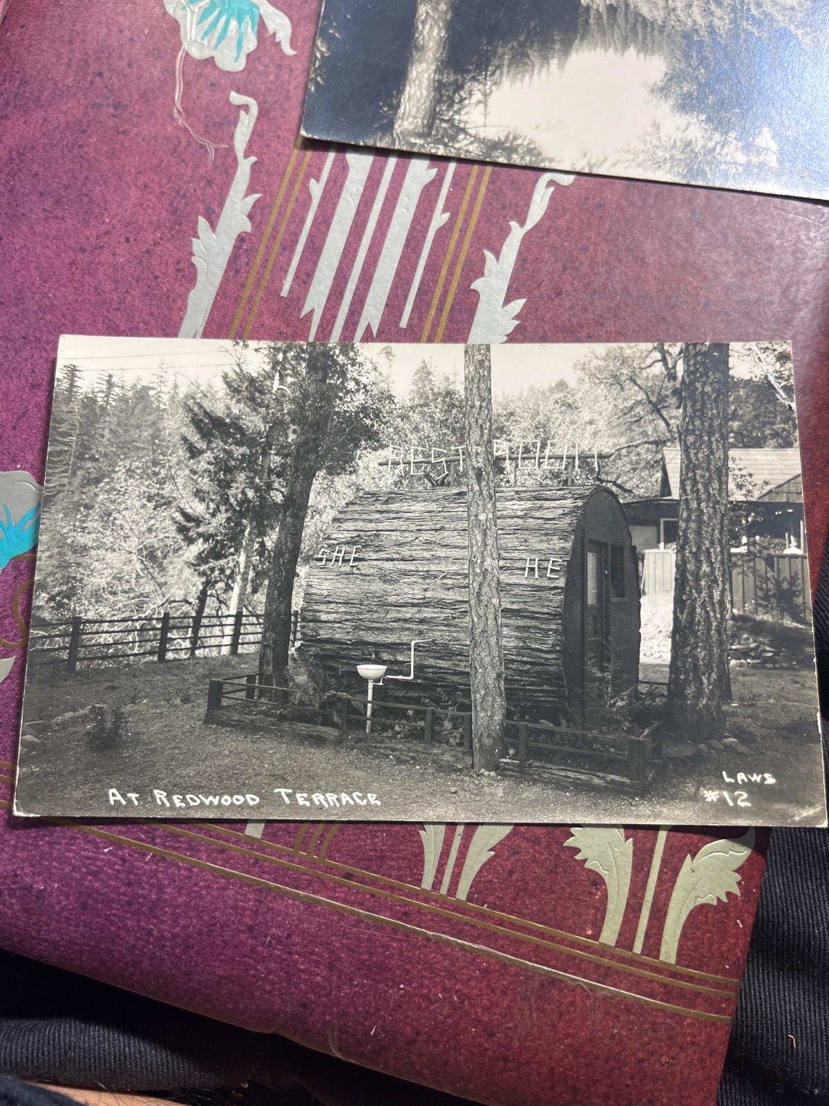 California Redwood Highway 1940s Restroom log RPPC Photo Postcard 22-8963