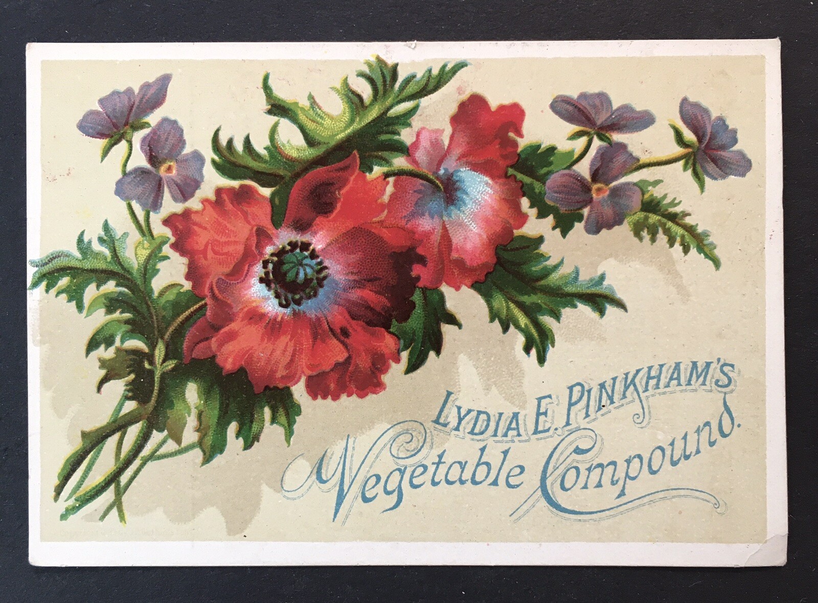 Lewiston Maine Lydia Pinkham's Vegetable Compound Victorian Trade Card