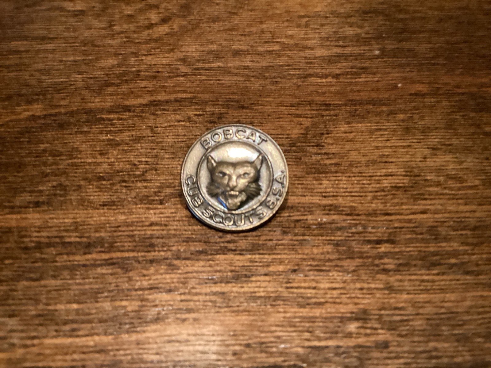 Vintage Boy Scouts Bob Cat Cubs BSA Pin Badge Medal, Cub Scouts America